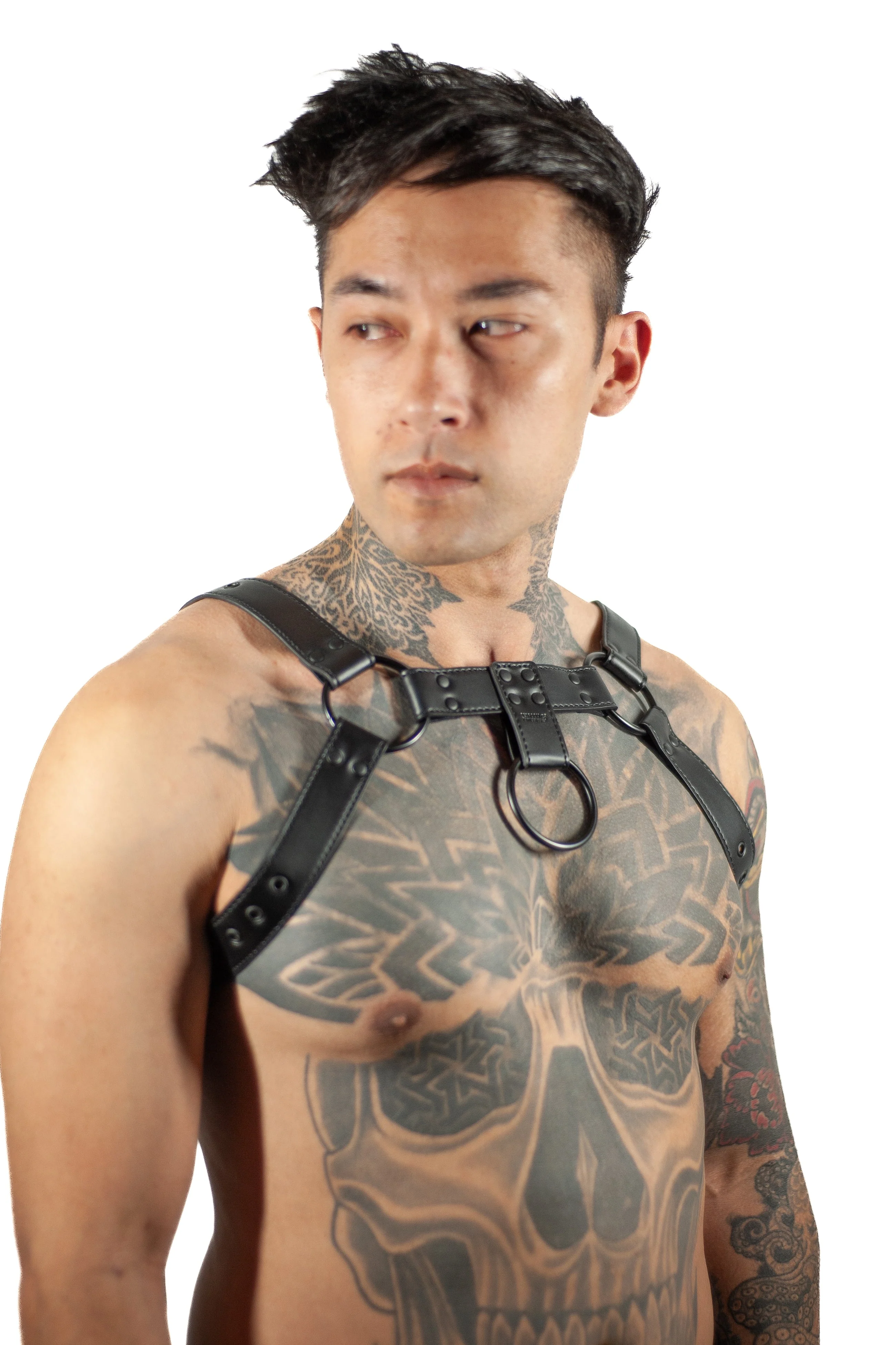Black O-Ring Harness - Image 7