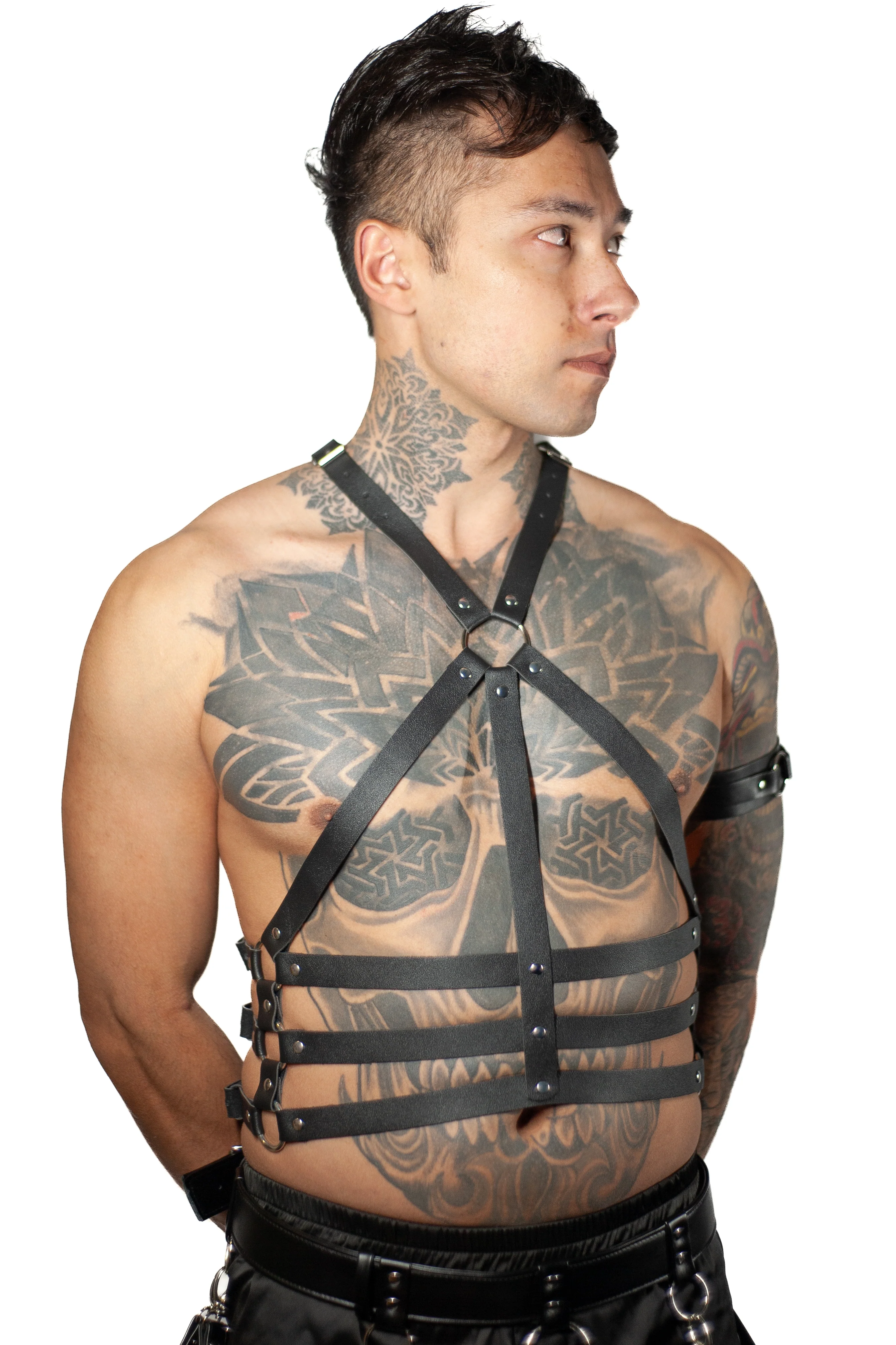 Chain Halter Harnesses - Image 3