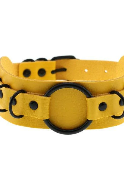 Choker Necklace and Collar - Image 20