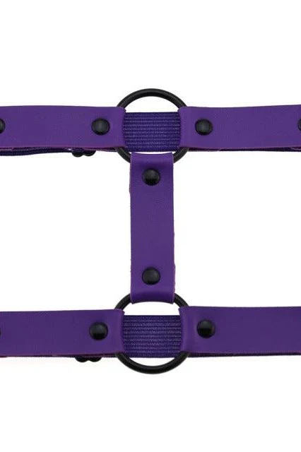 Garter Goth Leg Jewelry - Image 11