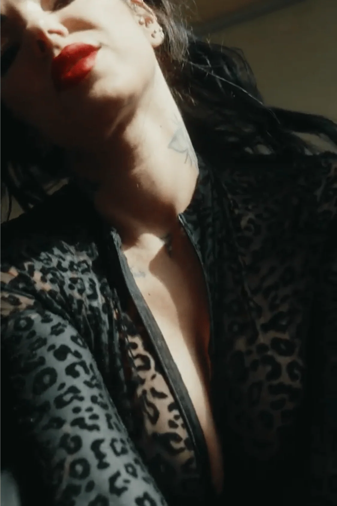 Leo-Flock Body - Image 7