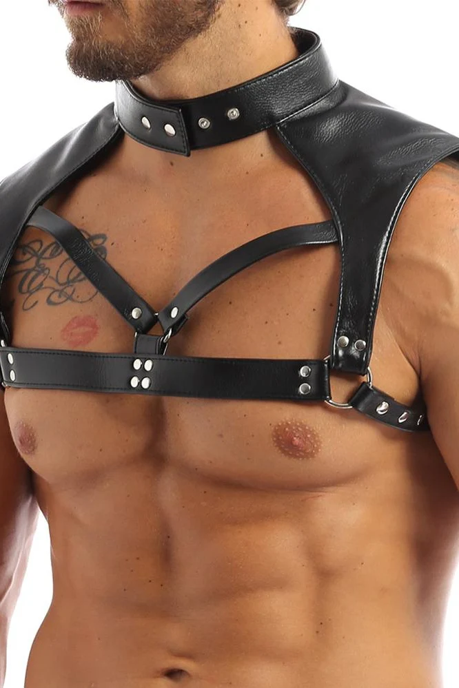 Wetlook Chest Harness - Image 4
